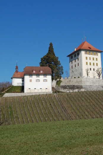 Seetal: Wandertipp Nr.14 Ballwil - Schloss Heidegg - Gelfingen