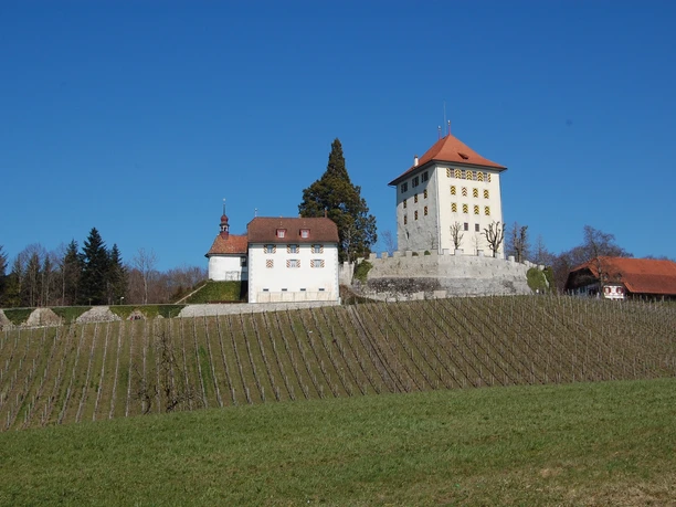 Seetal: Wandertipp Nr.14 Ballwil - Schloss Heidegg - Gelfingen
