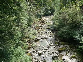 Flusslandschaft der Sihl bei der Scheerenbrugg