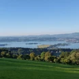 Blick über den Zürichsee