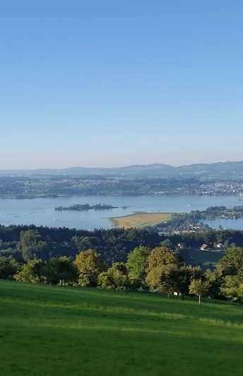 Blick über den Zürichsee