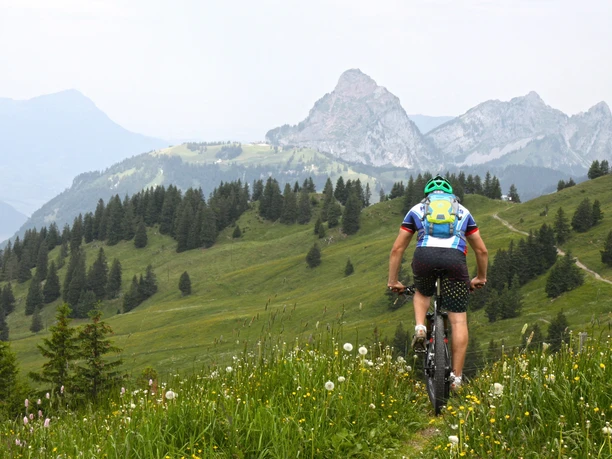 Auf der Tour geniesst man traumhafte Ausblicke.