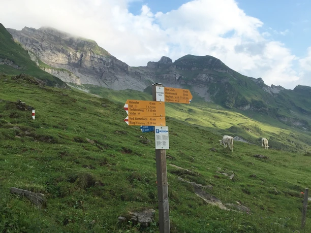 Wanderweg bei der Druesberghütte