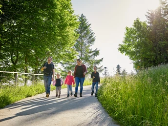 Wurzilla Heiligkreuz