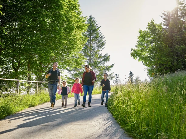 Wurzilla Heiligkreuz
