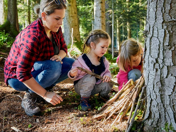 Wurzilla Heiligkreuz