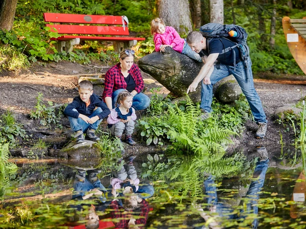 Wurzilla Heiligkreuz