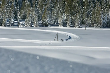 Langlaufen inmitten der Sörenberger Winterwelt