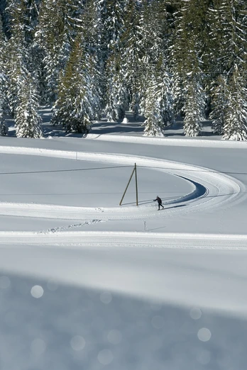 Langlaufen inmitten der Sörenberger Winterwelt