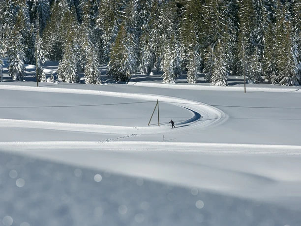 Langlaufen inmitten der Sörenberger Winterwelt