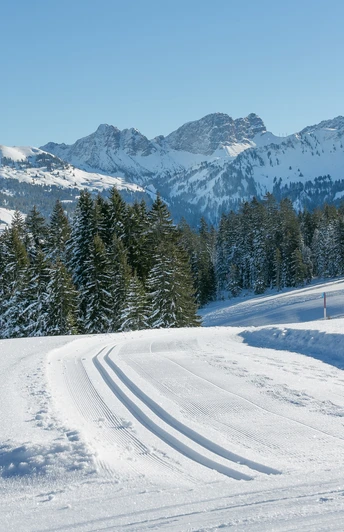 Die herrliche Aussicht von der Langlaufloipe