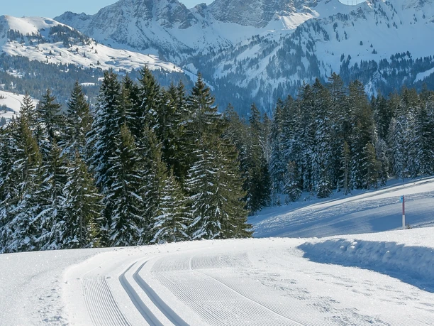 Die herrliche Aussicht von der Langlaufloipe