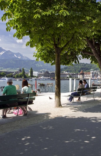 Luzern Frühling 2013 Foto: Elge Kenneweg www.elgekenneweg.ch