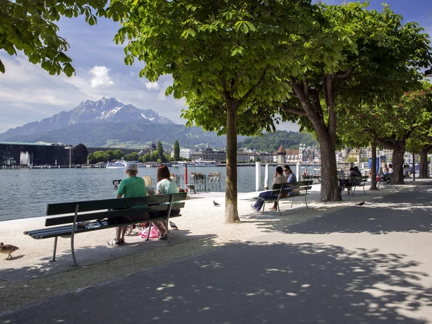 Luzern Frühling 2013 Foto: Elge Kenneweg www.elgekenneweg.ch