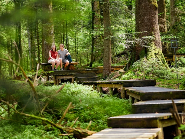 Seelensteg Heiligkreuz