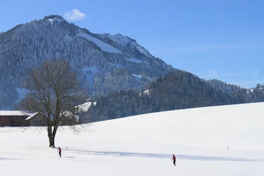 Schüpfer Loipe zum Langlaufen