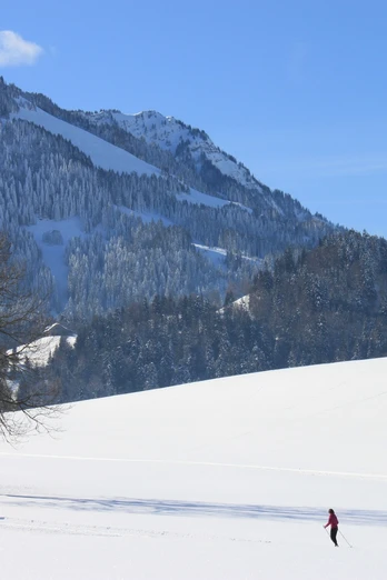 Schüpfer Loipe zum Langlaufen