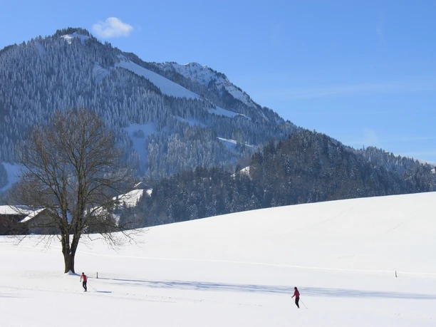 Schüpfer Loipe zum Langlaufen