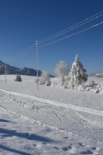 Schüpfer Loipe zum Langlaufen