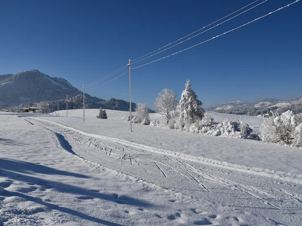 Schüpfer Loipe zum Langlaufen