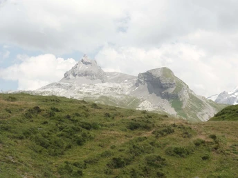 Bartgeier Melchsee-Frutt