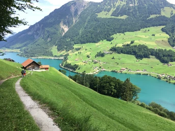 Schmetterlingspfad Lungern