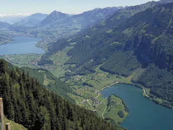 Schmetterlingspfad Lungern