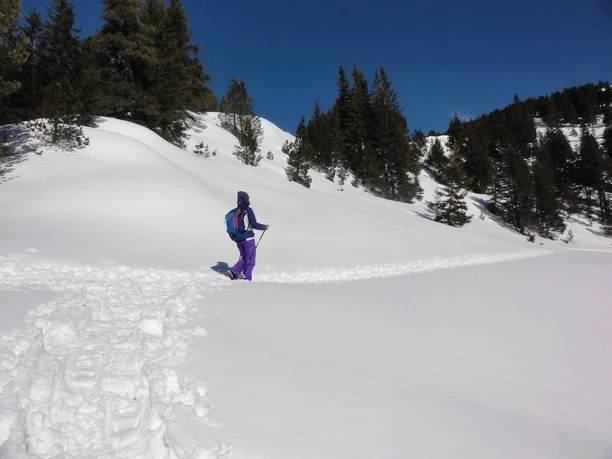 Schneeschuhtour Langis-Rickhubel