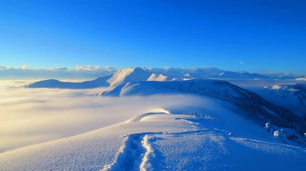 Schneeschuhtouren Langis