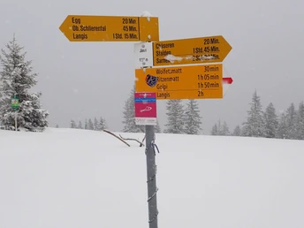 Schneeschuhtrail Jänzi Panorama Trail