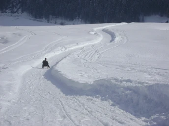 Schlittelpiste Höchgütsch