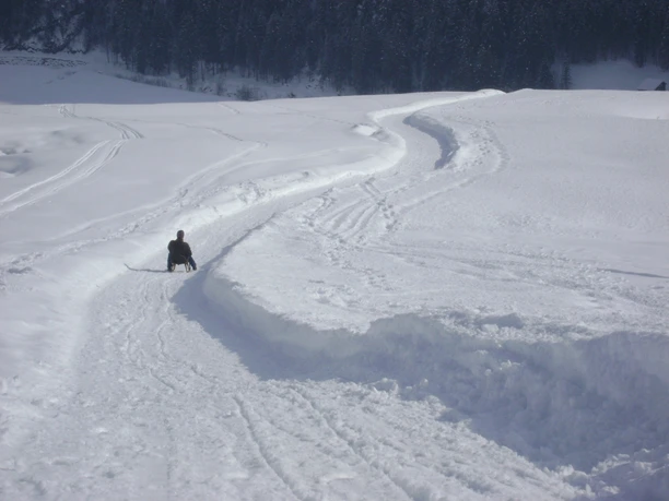 Schlittelpiste Höchgütsch