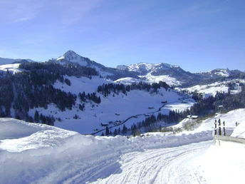 Schlittelpiste Höchgütsch, Roggenstock