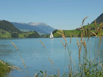 Lungererseerundfahrt