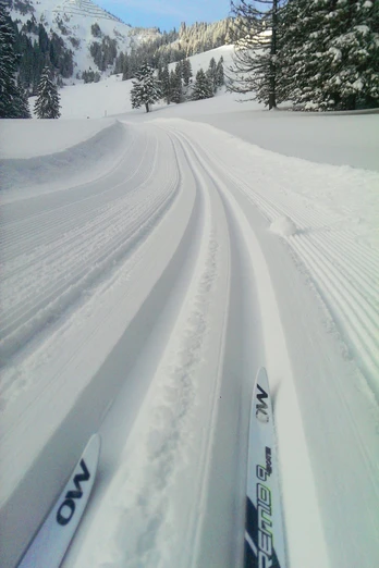 Langlaufen auf Mörlialp