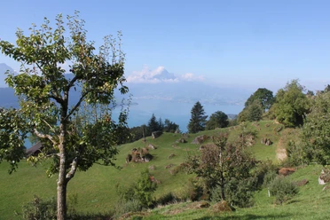 Aussicht auf den Pilatus von Säntiberg, Weggis