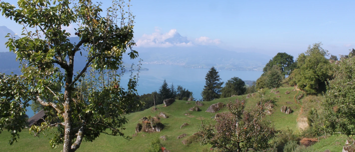 Aussicht auf den Pilatus von Säntiberg, Weggis