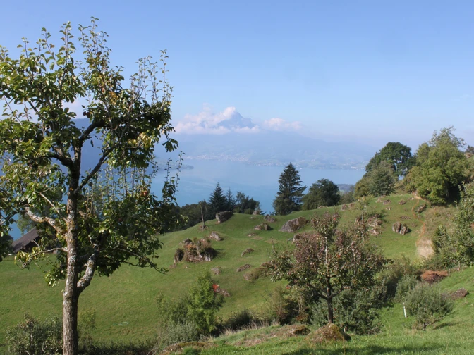 Aussicht auf den Pilatus von Säntiberg, Weggis