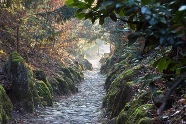 Hohle Gasse in Küssnacht am Rigi