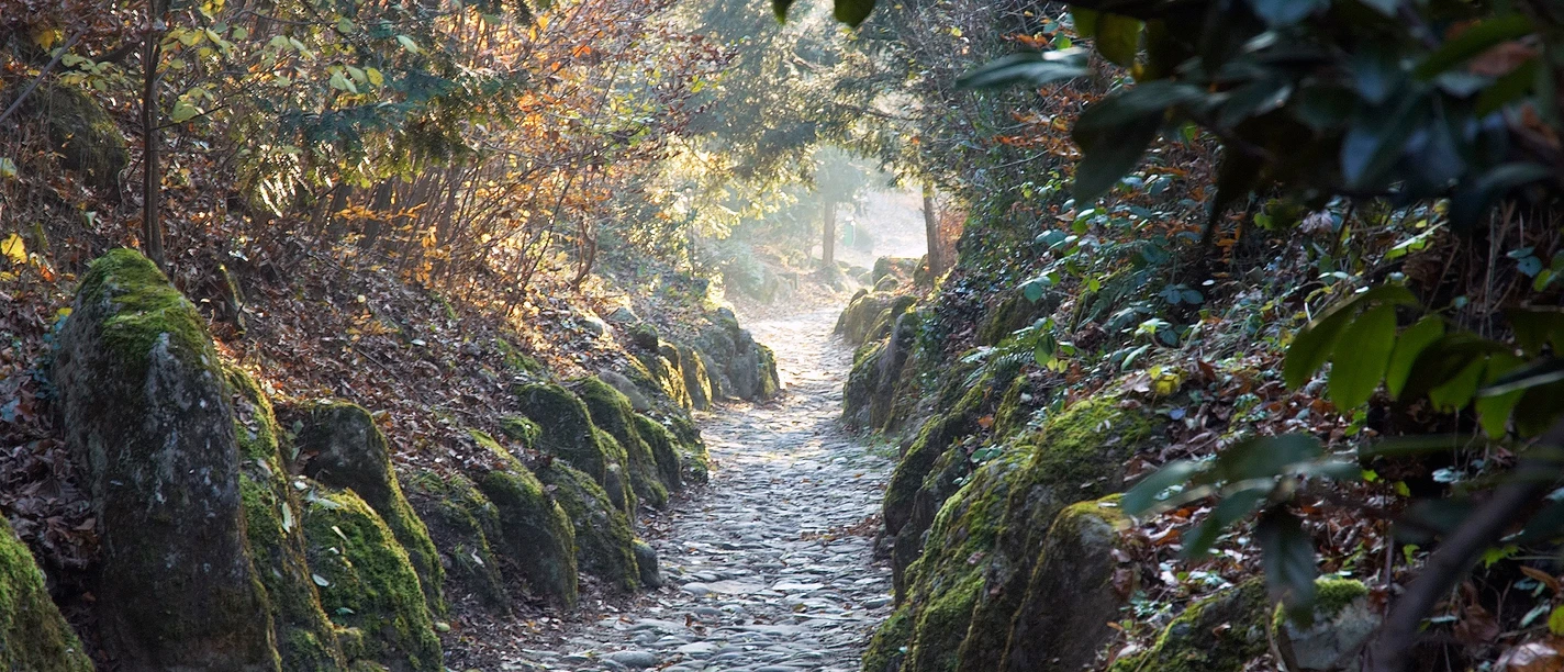 Hohle Gasse in Küssnacht am Rigi