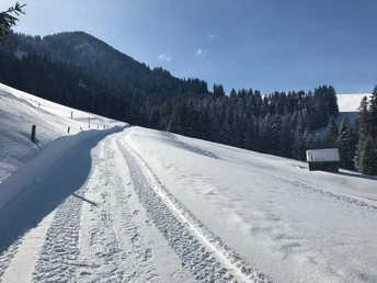 Winterwanderung von Heiligkreuz auf die First