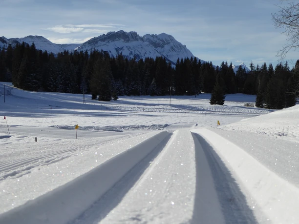 Loipe Nesslenbrunnenboden