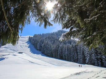 Winterwanderung von Heiligkreuz auf die First