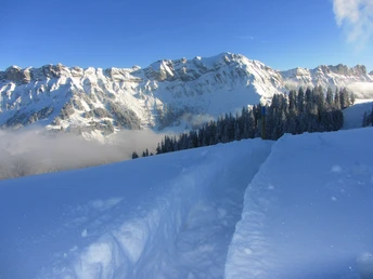 Schneeschuhtrail auf die First. Im Hintergrund die Schafmatt.