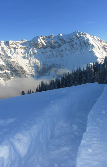 Schneeschuhtrail auf die First. Im Hintergrund die Schafmatt.