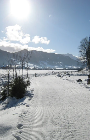 Loipe Wiggen-Camping