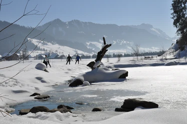 Am Weiher vorbei gleiten