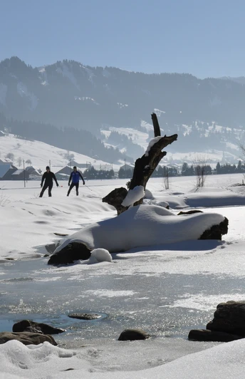Am Weiher vorbei gleiten