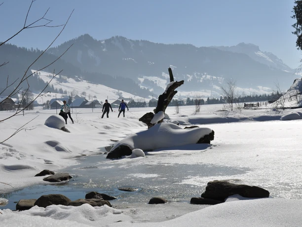 Am Weiher vorbei gleiten