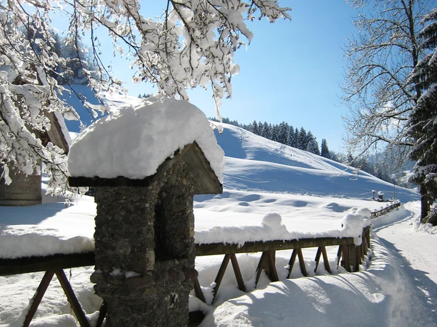 Verschneiter Weg zur Lourdes Grotte
